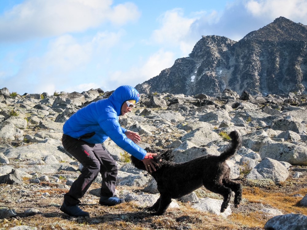 Here are some dog friendly hikes you can take near ...