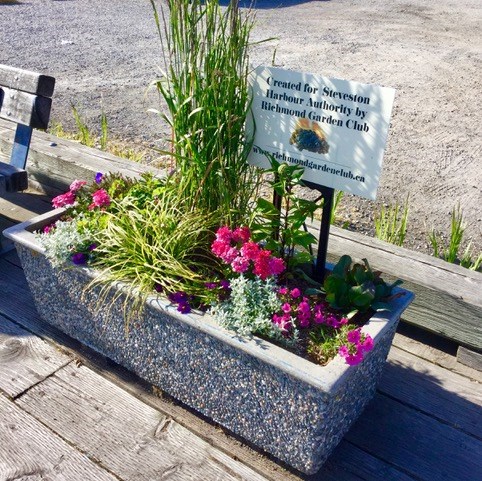 Planters along the Steveston boardwalk full of new flowers.