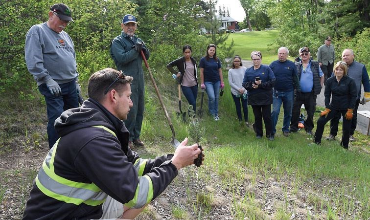 tree-planting.07_662018.jpg