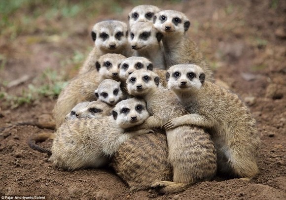 hugs