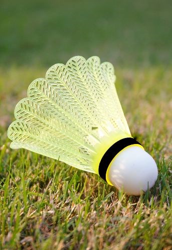 council---badminton.13_6122.jpg