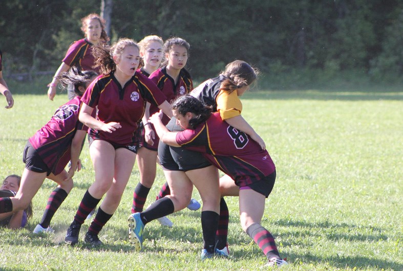 Vikings rugby