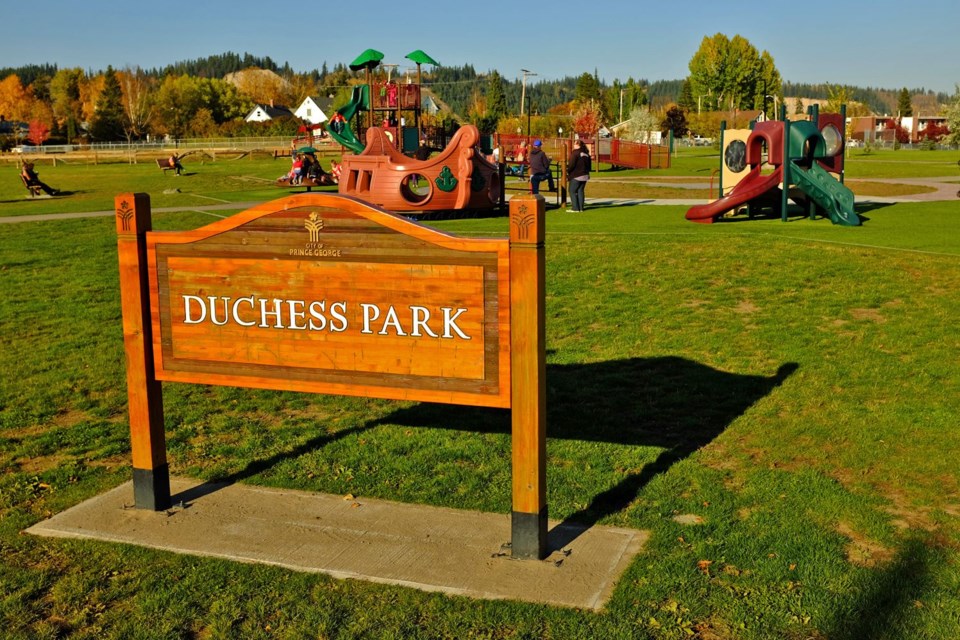 playground-project.14_61320.jpg