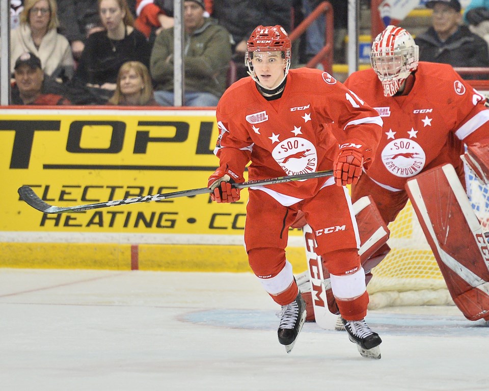 Mac Hollowell of the Sault Ste. Marie Greyhounds in the OHL.
