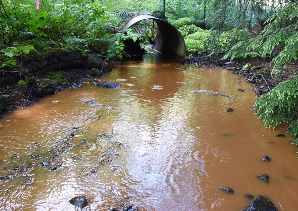 Eagle Creek