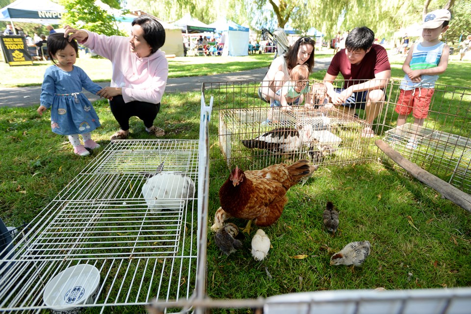 Visitors check out a Muscovy duck.