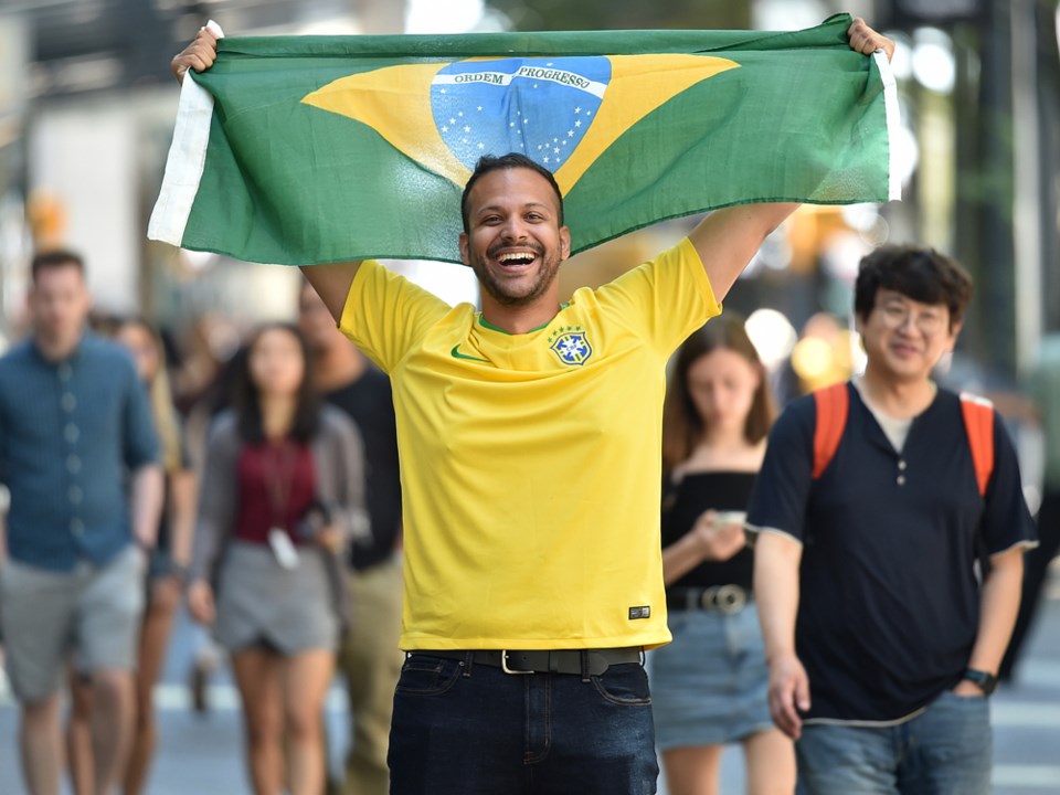 world cup fan