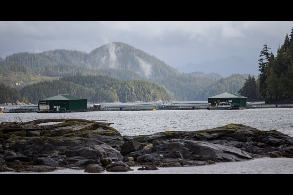 Marine Harvest fish farm near Midsummer Island, near Alert Bay. The province will allow the farms to carry on until June 2022 and then grant tenures only to those that have agreements with First Nations to operate in their territory.