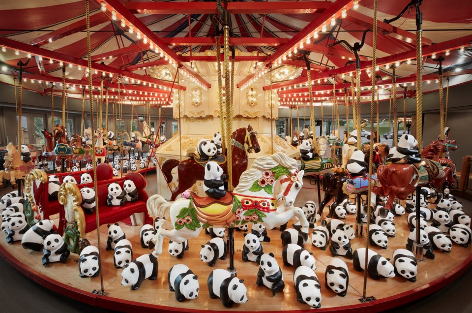 panda