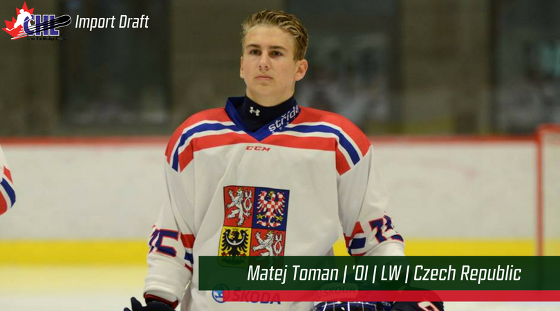 Cougars forward Matej Toman.png