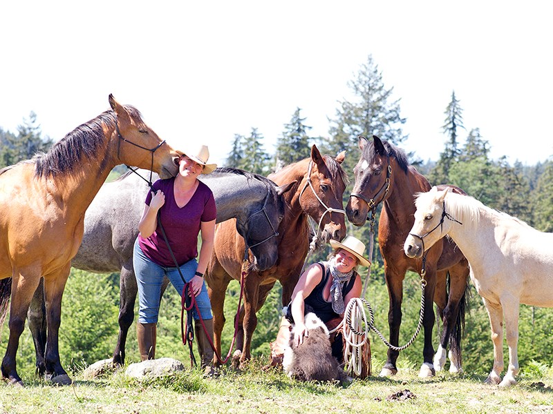 Equanimity Equine Foundation