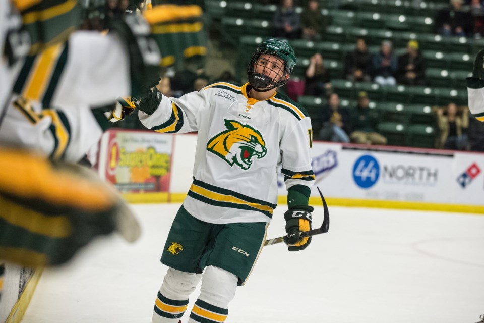 Adam Rockwood celebrates a goal for Northern Michigan University.