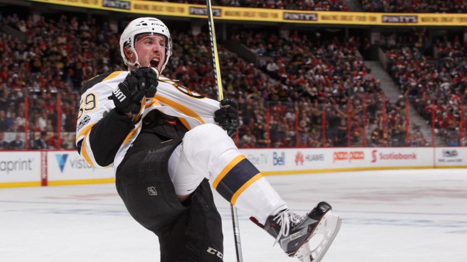 Tim Schaller celebrates a goal for the Boston Bruins.