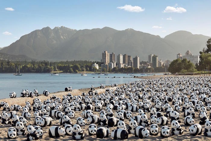1600 Pandas exhibit