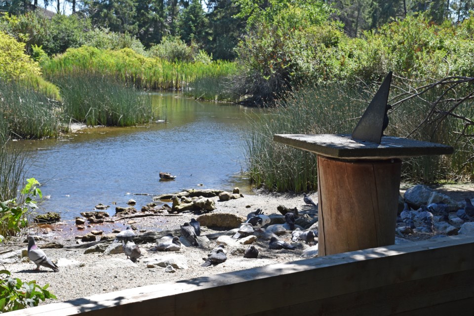 marsh