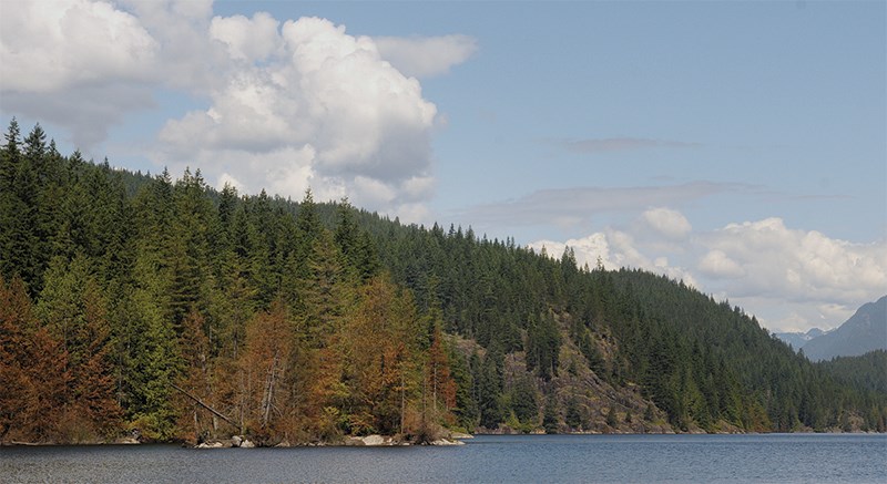 SAR