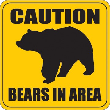 Bear