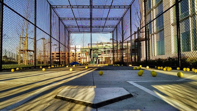 batting cage