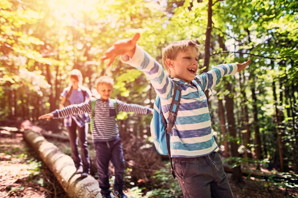 kids walking on log in forest