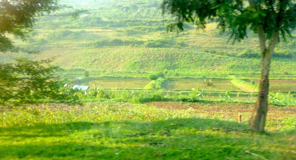 Rwandan countryside
