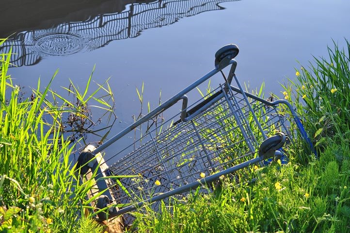 shopping cart dumped