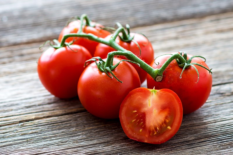 tomatoes stock photo