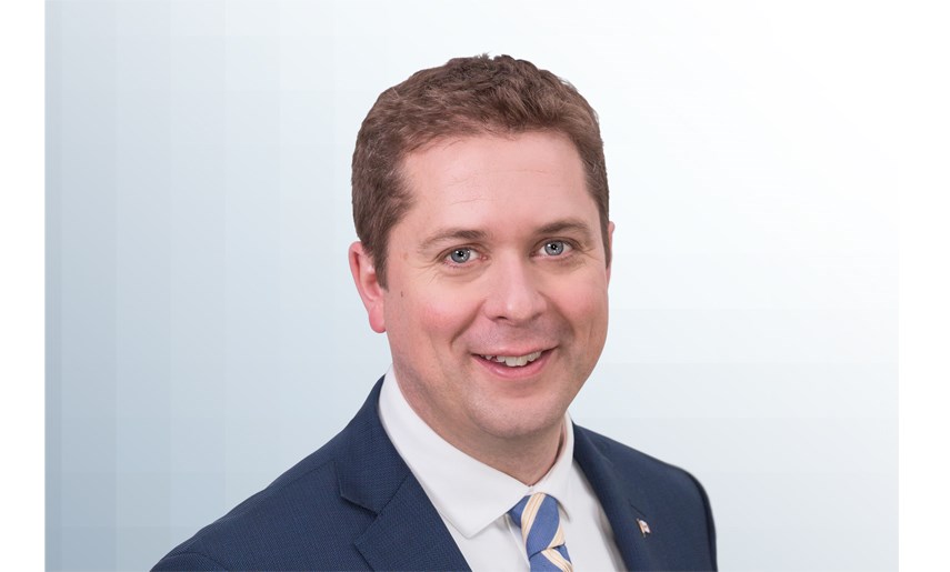 scheer