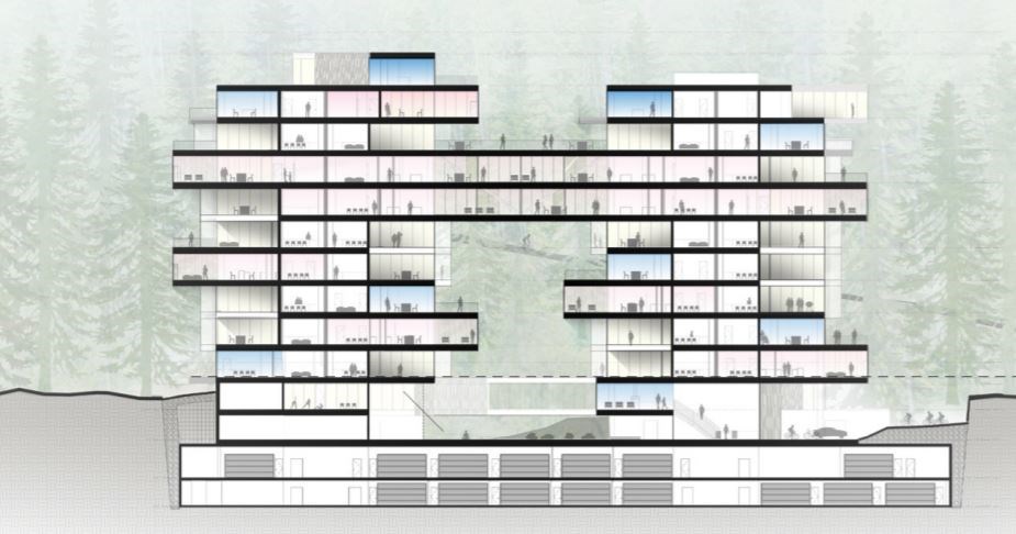 Tree House cross section