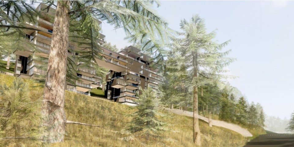 Tree House below image