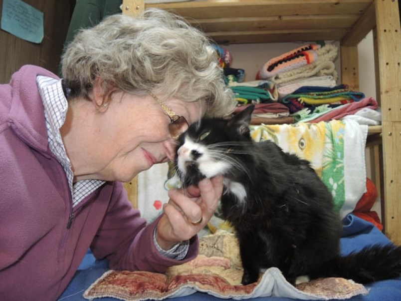 Marianne Moore founded the Kitty Comforter Program, through which volunteers devote one-on-one attention to the cats, helping them adapt to their new circumstances and to build trust in their new human friends. File photo