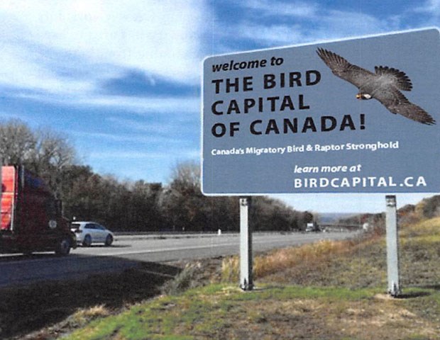 bird captial