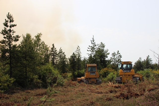 Bog fire 2018