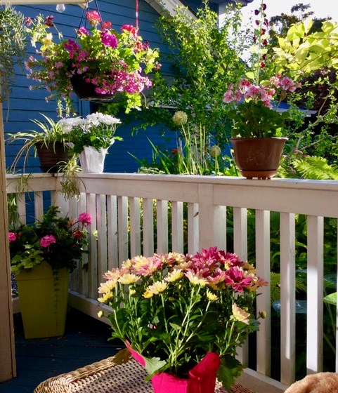 flower porch