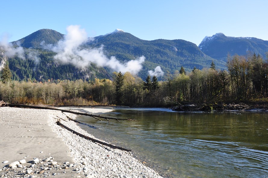 pitt lake