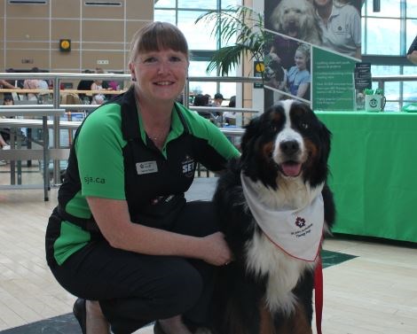 YVR dog Branston