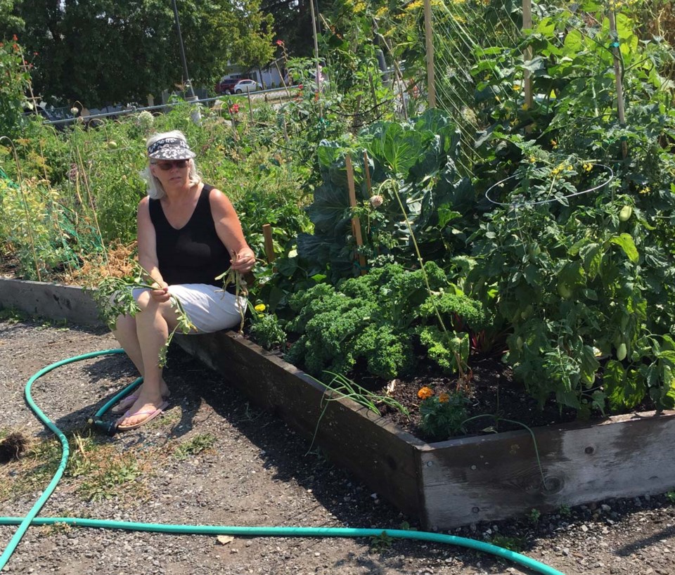 garden theft
