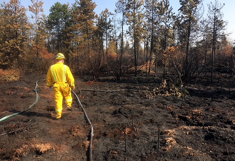 Richmond bog fire