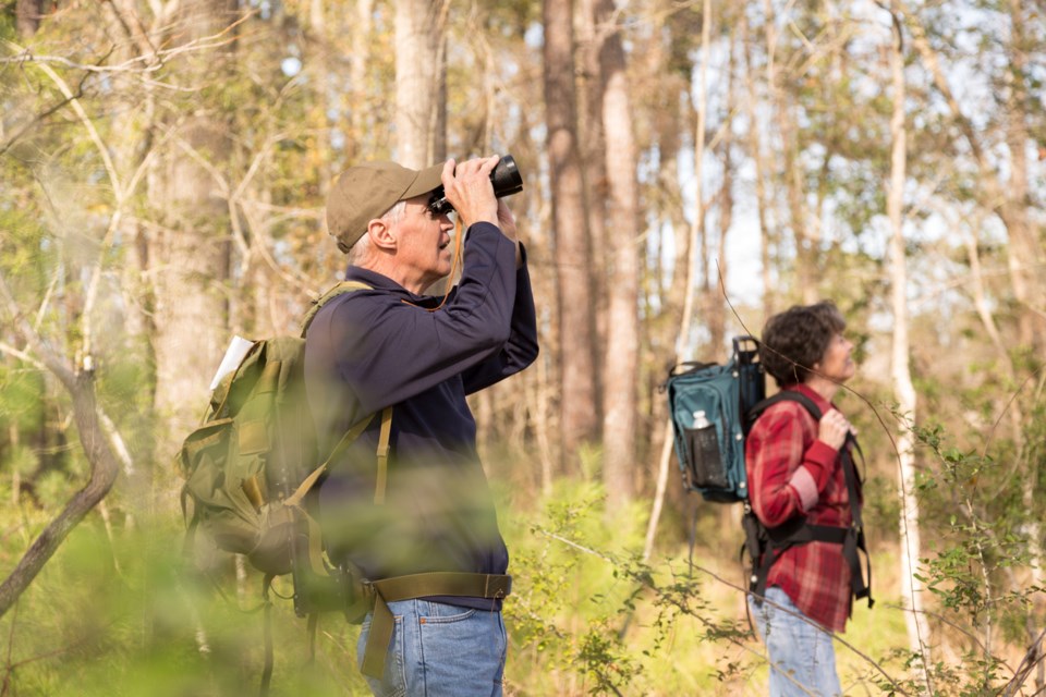 bird watchers