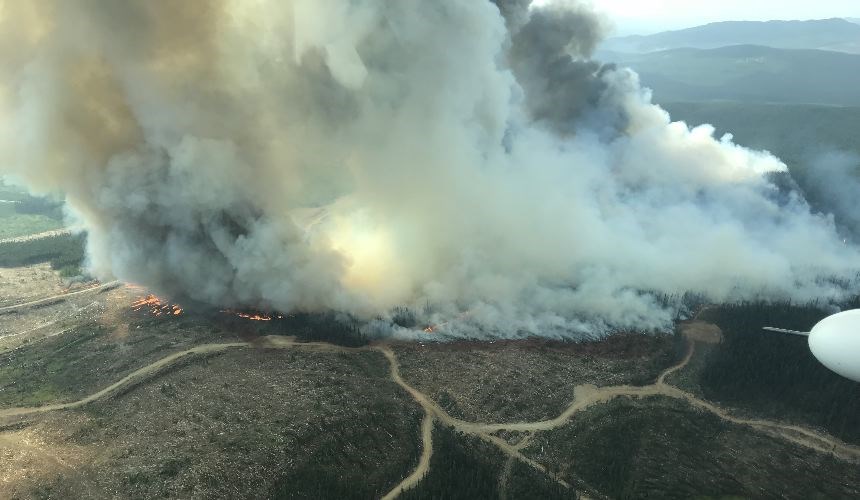 wildfires-and-weekend.03_82.jpg