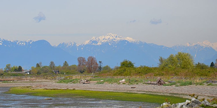 South Delta First Nations land