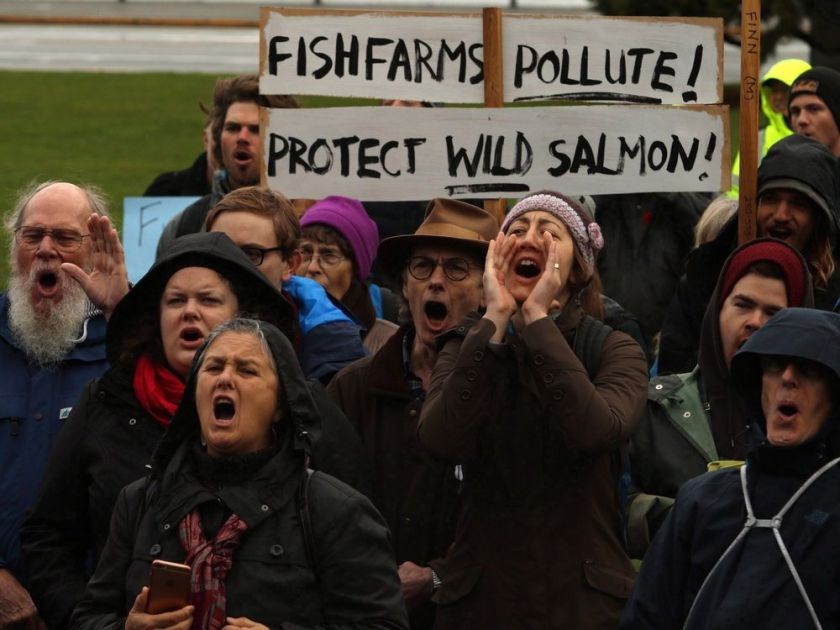 Fish farm protest