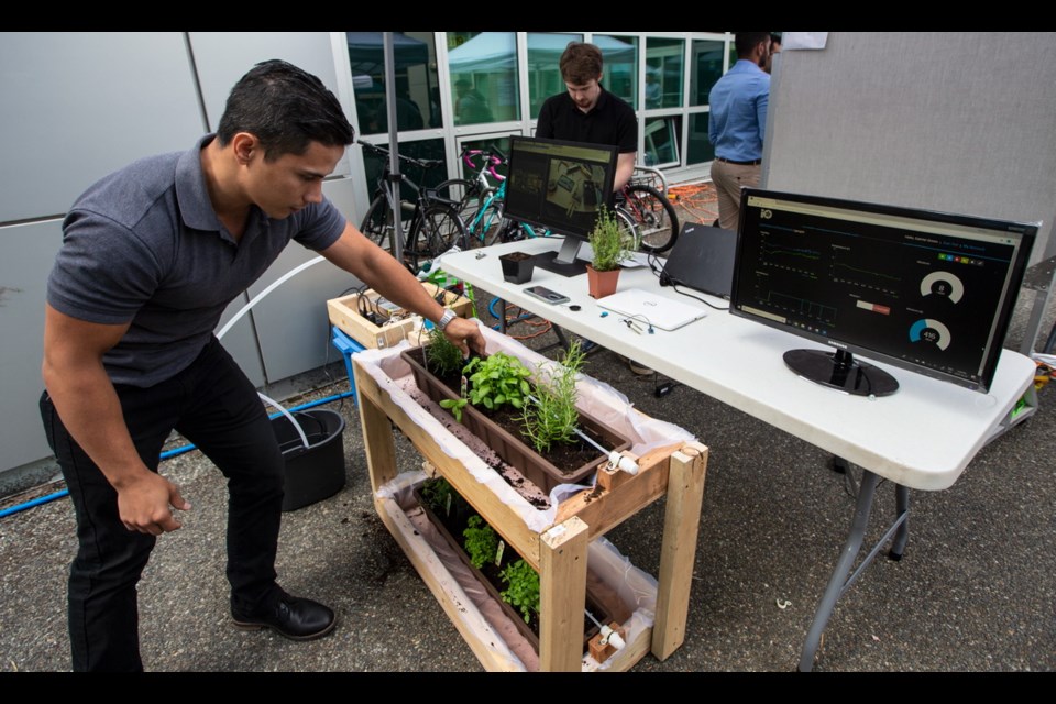 UVic engineering student Nathan Durrance with the Automated Irrigation Solution project, which uses hydro and solar power to charge batteries.