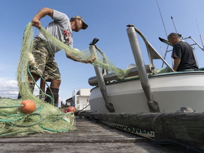 sockeye fishery