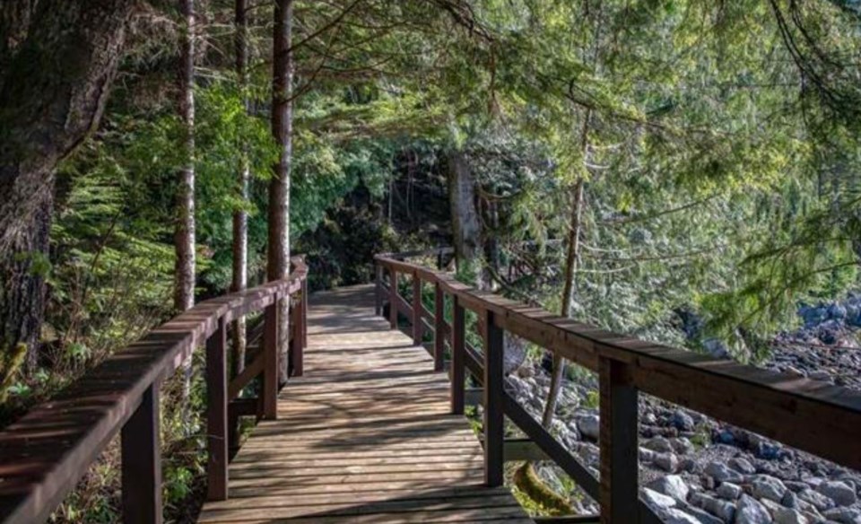 Stuart Island forest path