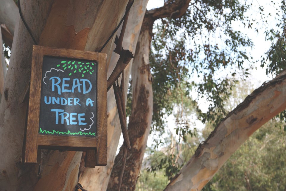 Read Under a Tree, stock photo