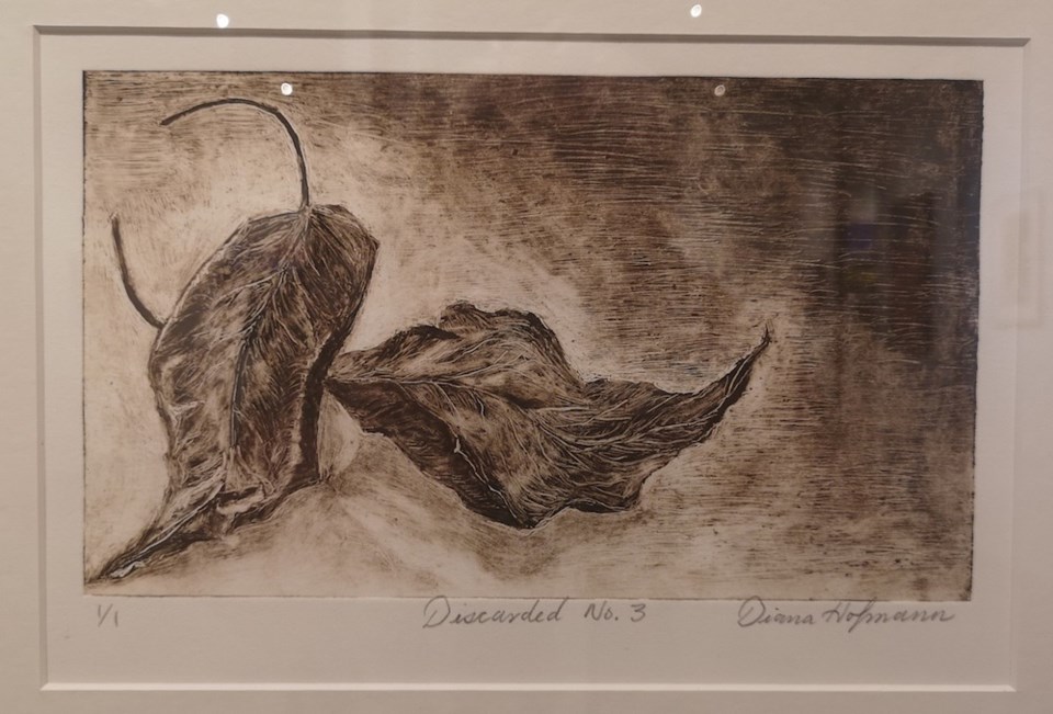 discarded-dianahofmann