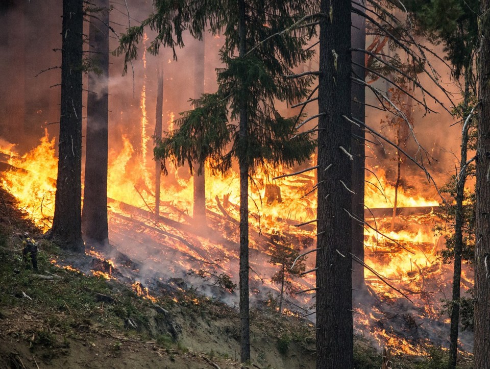 wildfire, stock photo