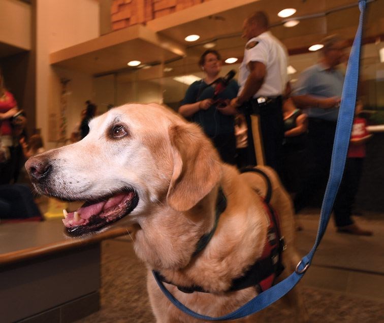 max-the-rcmp-victim-dog-ret.jpg