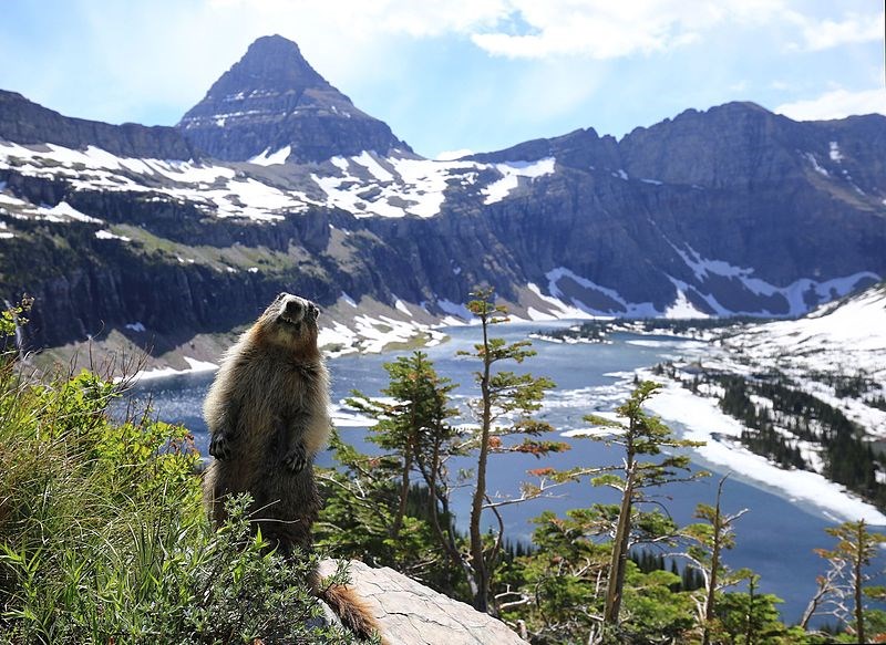 Glacier park