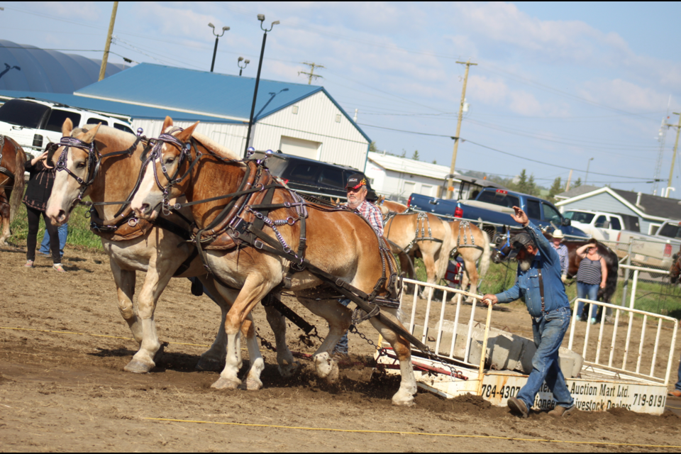 Calvin Buchter's horses pulled 7,000 lbs on Sunday to be the last horses pulling and take the title. That's 3,3370 lbs over their team weight.